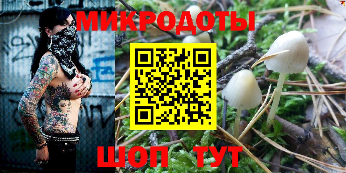 Псилоцибиновые грибы GOLDEN TEACHER  Вход с VPN  Мелеуз 